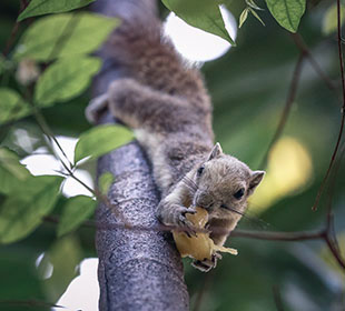 服务器攻击软件