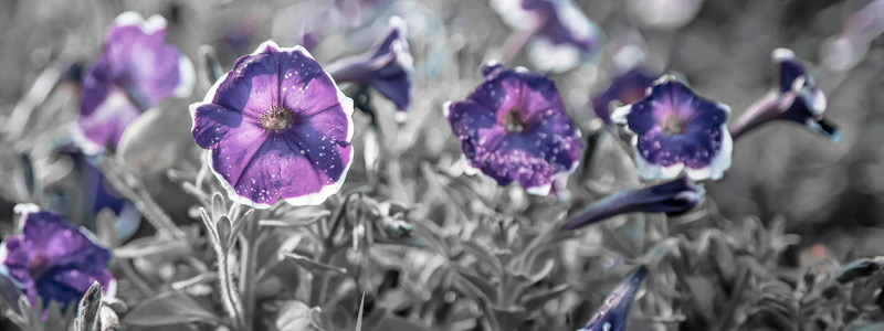 即刻使用的网页攻击平台